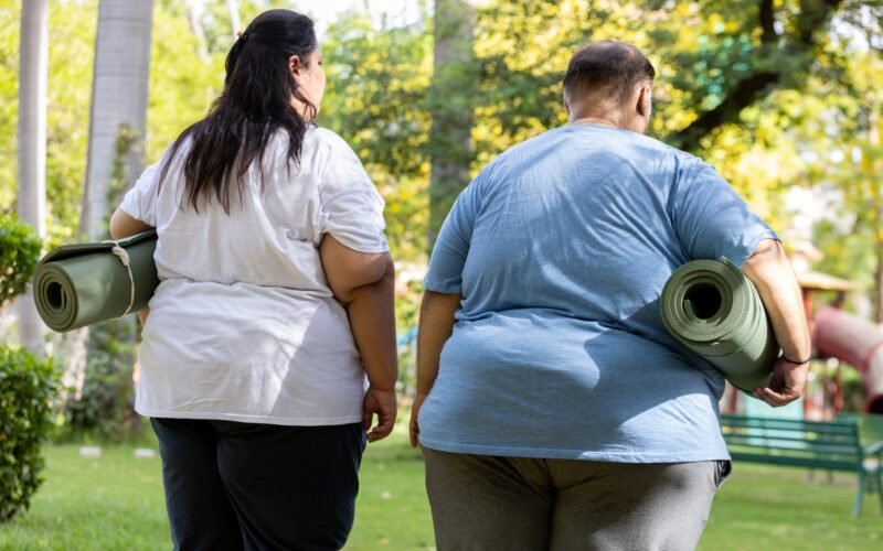 Un estudio explica las resistencias biológicas que favorecen el ‘efecto rebote’ en la obesidad