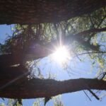Hasta el 1 de septiembre, el termómetro alcanzará los 35 °C en estas zonas de Ecuador