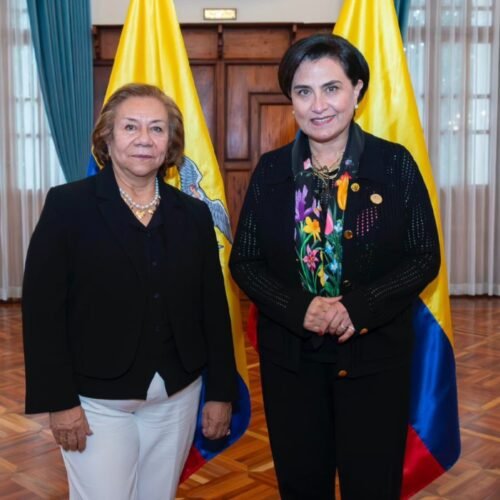 Inicio