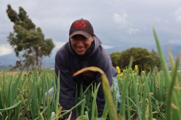 70.000 productores ya recibieron el bono Raíces