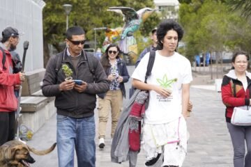 Comisión calificadora de la Asamblea Nacional decidirá la viabilidad de la iniciativa popular para regular el uso del cannabis en Ecuador