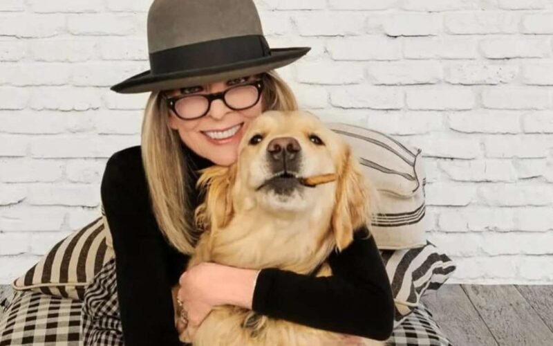 MUNDO | No creerán la millonaria herencia que la actriz Diane Keaton le dejó a su perro, un golden retriever
