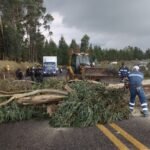El paro del 2025 en cifras: detenidos, muertos, heridos, acciones de protestas y pérdidas económicas en un mes de zozobra