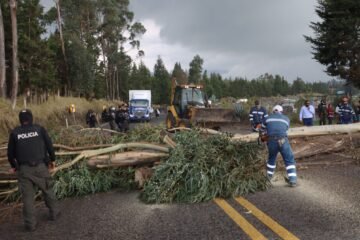 El paro del 2025 en cifras: detenidos, muertos, heridos, acciones de protestas y pérdidas económicas en un mes de zozobra