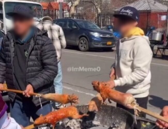 Cuy asado en calle de Nueva York: migrantes ecuatorianos son criticados por cocinar a esta especie considerada mascota en EE. UU.