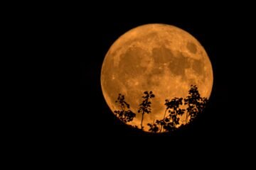 Luna de Ciervo: fecha en la que la Luna parecerá más grande