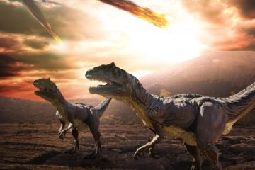 ¿Se achicharraron los dinosaurios en pocas horas? El meteorito creó una capa de polvo que convirtió el planeta en una parrilla