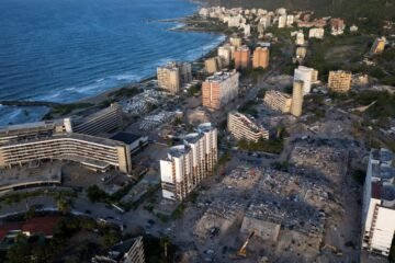 Las ‘plantas devoradoras de contaminación’ que usarán en las playas de La Guaira para limpiar el suelo sin usar químicos