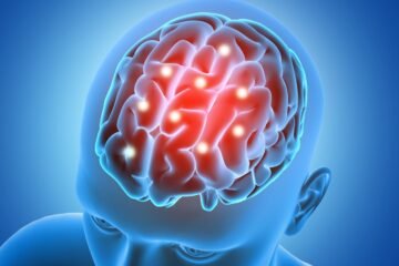 Estar sentado en el trabajo no encoge tu cerebro, pero ver televisión sí: la extraña anomalía en la sustancia blanca descubierta en humanos