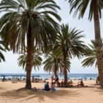 Más de 1.000 muertes se registran por la ola de calor en España