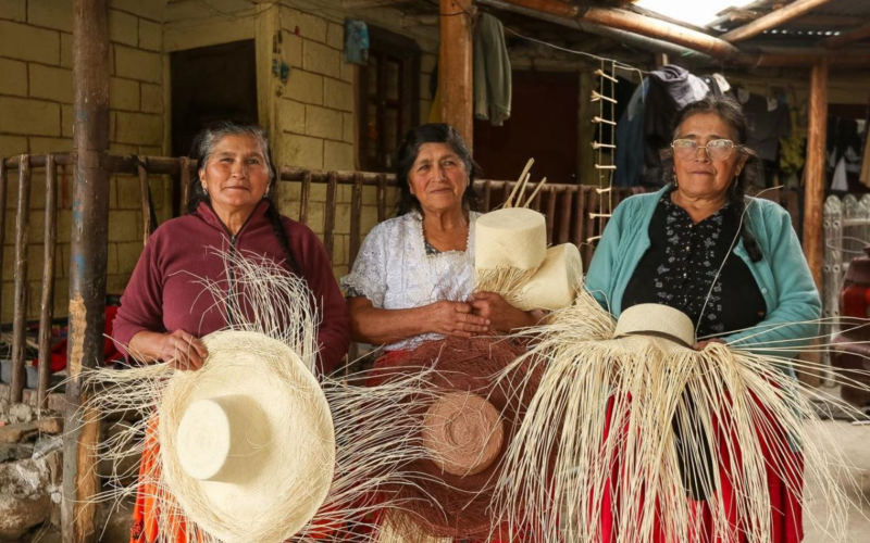 Artesanas de Cuenca sostienen el tejido de paja toquilla pese a bajos pagos: ¿cuánto reciben por un sombrero?