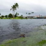 Lala se convierte en huracán y se aproxima a Hawái con riesgo de tocar tierra este sábado
