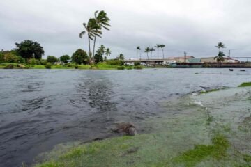 Lala se convierte en huracán y se aproxima a Hawái con riesgo de tocar tierra este sábado