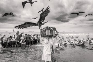 Última semana para integrar el equipo de Ecuador que competirá en la World Photographic Cup 2027