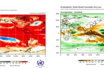 Producción de Perú crece 1,75 % en junio pero caen pesca y sector agropecuario por El Niño