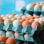 La FDA retira 19 millones de huevos del mercado en EE. UU. por riesgo mortal